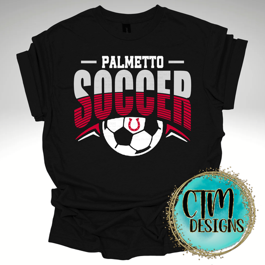 Palmetto Soccer
