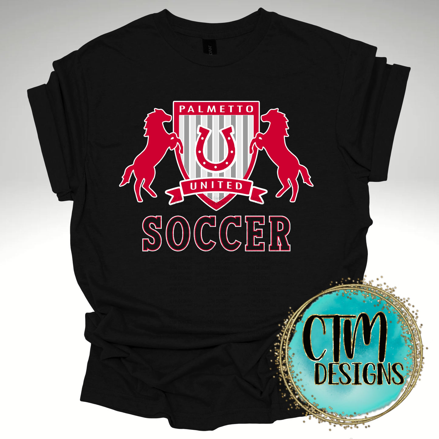 Palmetto United Soccer